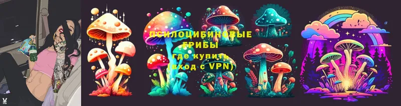 Псилоцибиновые грибы Psilocybe  Андреаполь 