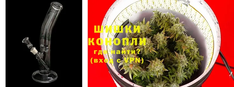 закладка  Андреаполь  Марихуана White Widow 